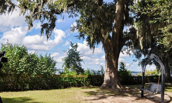 A swinging chair under a shaded oak tree on the park's property