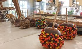 Candy apples covered in Reese's Pieces, M&Ms, and nuts
