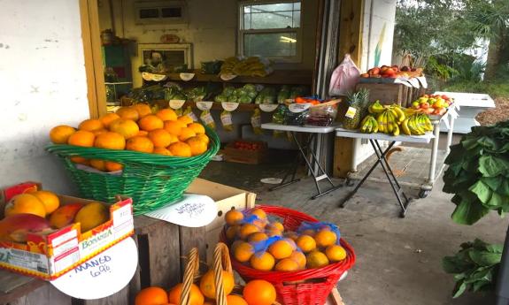 Fruit on display at Currie Brothers Market in St. Augustine, FL.