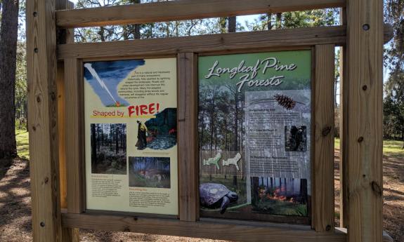 One sign, describing the burning forest management policy at Faver-Dykes State Park in St. Augustine.