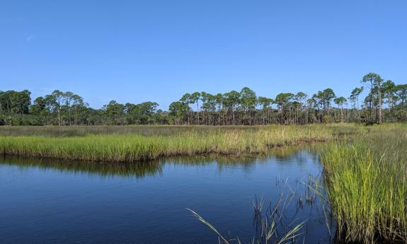 The river and marsh for kayaking, canoeing, and fishing at Faver-Dykes State Park in St. Augustine. State Park in St. Augustine.