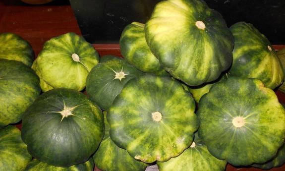 Flying saucer squash at the Rype & Readi Market in Elkton, Florida.