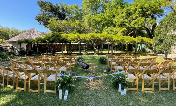 Wedding seating, complete with peacocks for a wedding at the Fountain of Youth in St. Augustine.