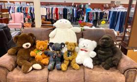 Stuffed animals on display at Haven Attic Resale Store: St. Augustine.