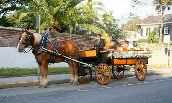 A gentle draft horse in a carriage outside the Oldest House Museum Complex in downtown St. Augustine, Fl.