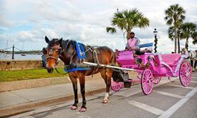 Southern Carriages offers horse-drawn carriage rides through the streets of historic downtown St. Augustine, Florida.