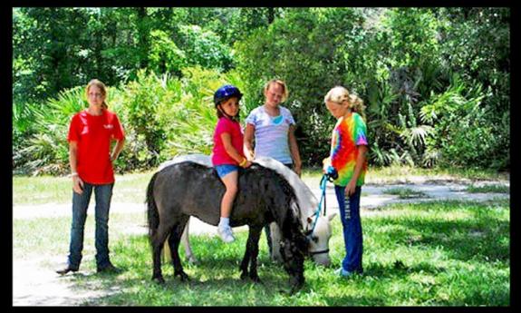 StarBrite Stables