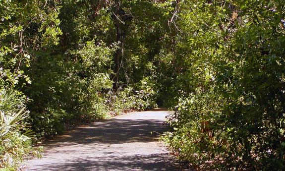 Vaill Point Park