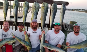 Five fishermen holding mahi-mahi fish in St. Augustine, FL.