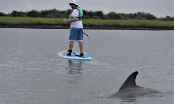 A guest on a SUP, sharing the waters with a dolphin and Kayaking St. Augustine.