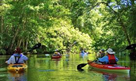 Kayakers enjoying the Old Backwater Tour, a seasonal adventure by Kayaking St. Augustine.