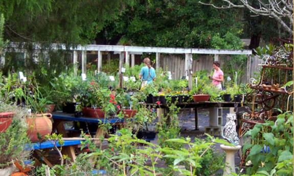 Visitors browsing around in the outside garden area