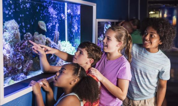 Visitors enjoy the Behind the Seas experience at Marineland.