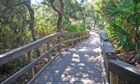 The boardwalk on-site as part of the nature walk