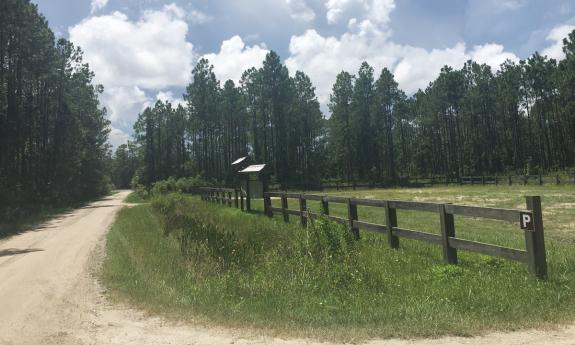 The entrance to the park with s quaint fence off on the side of the road