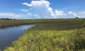 The Matanzas Marsh as part of the State Forest