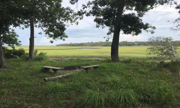 A grassy section at the park