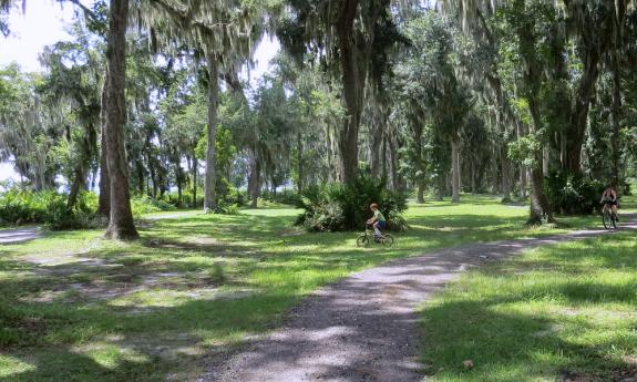 The various bike trails with trees shading the area