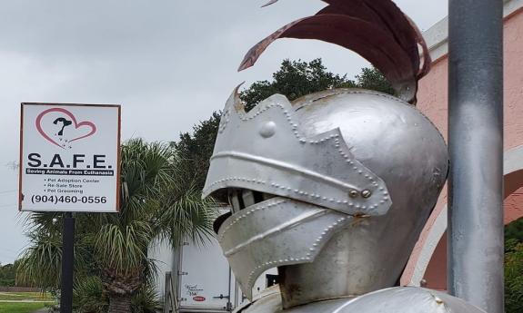 Outside SAFE Pet Rescue Thrift Store in St. Augustine, FL.