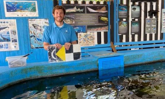 Experience a guided tour at the St. Augustine Aquarium 