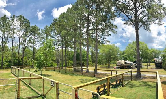 Dog park at Stagecoach RV with space for pups to run around.