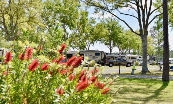 Stagecoach RV Park has full hook-ups, free wifi, laundry facilities, and bathrooms.