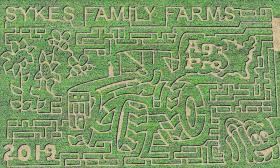 Aerial view of Sykes Family Farm corn Maze in 2019