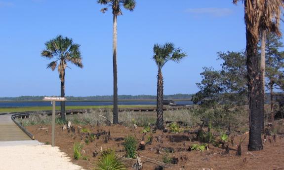 Views of the Tolomato River from the boardwalk and trails