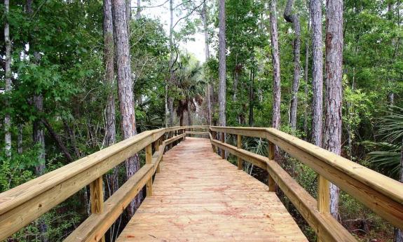 Tolomato River Boardwalk located in Palencia