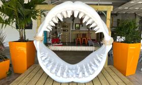 The famous shark's teeth on display at Tom's in St. Augustine.