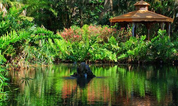 First Friday Garden Walk at Washington Oaks