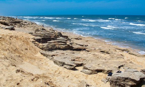 Coquina outcroppings on the beach at Washington Oaks Gardens State Park.