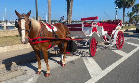 A horse hitched to a white carriage with deep red wheels and cushions