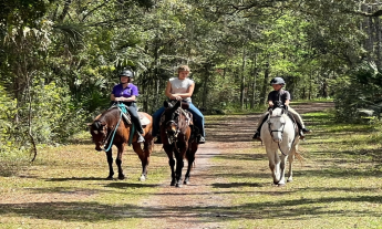 People travel on horseback in the forest. 