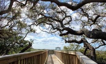 Nease Beachfront Park features trails and elevated walkways through the marshes