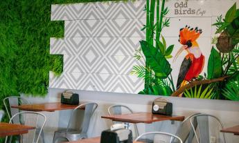 The vibrant seating area inside Odd Birds Café