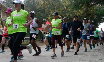 Runners at the Guana 50k and 12k Trail Races running in a narrow formation
