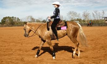 horse and rider in a cowboy hat