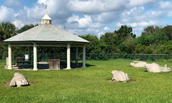 The shaded picnic pavilion at Windswept Acres Park