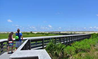 Visitors walking on the boardwalk to the beach