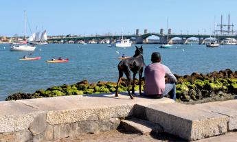 A dog and his friend, enjoying the view along the bayfront in St. Augustine.