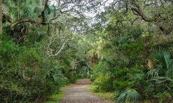 Nature trails in St. Augustine, Florida