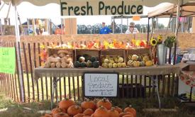 Pumpkins, sunflowers, and other fall produce are available at Sykes Family Farms.