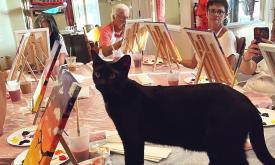 Black Cat on a table with easels as artists paint