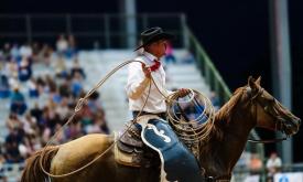 A rodeo cowboy on a horse
