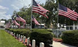 American flags flying and placed on graves