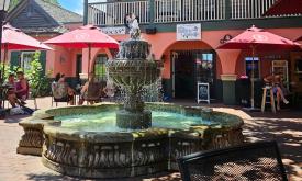 The courtyard and fountain at Bin 39 and 4 St. George Street