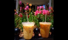 In St. Augustine, people aren't coffee drinkers--they're ICED coffee drinkers.