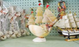 Tom's Souvenirs in St. Augustine Beach has a collection of shell art you have to see to believe.