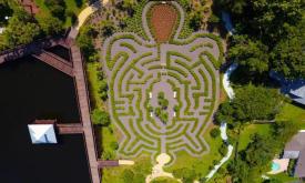 The turtle maze at Bird Island Park in Ponte Vedra, FL.